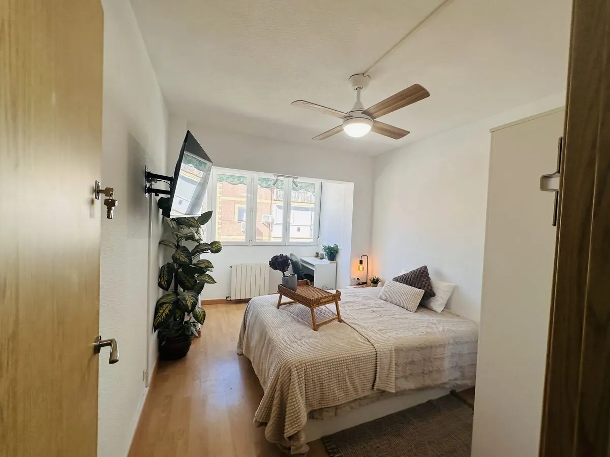 Habitación con planta, TV de pared y mini nevera